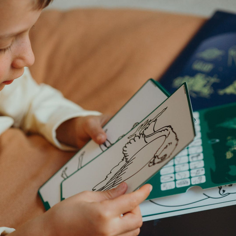 Navulling Kidydraw mini tekenbord - dieren over de hele wereld & oceanen en piraten