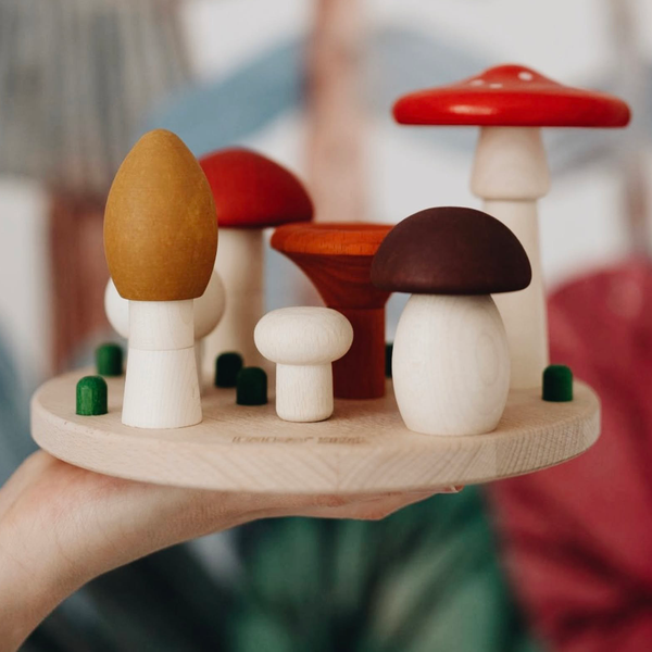 Mushroom houten sorteerspel