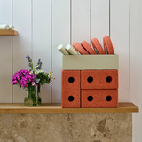 Pre-order | 3-in-1 Baby Walker - Burnt Orange / Dusty Green - 22