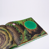 Het verhalen orkest - Peer Gynt