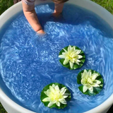 Sensus Lotus - magisch water - badpoeder - blauw