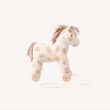 Trekpaard - Aiden - Dotty