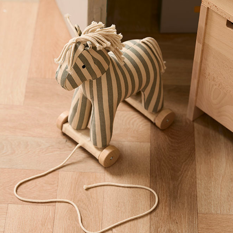 Trekpaard - Aiden - Sam