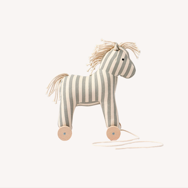 Trekpaard - Aiden - Sam