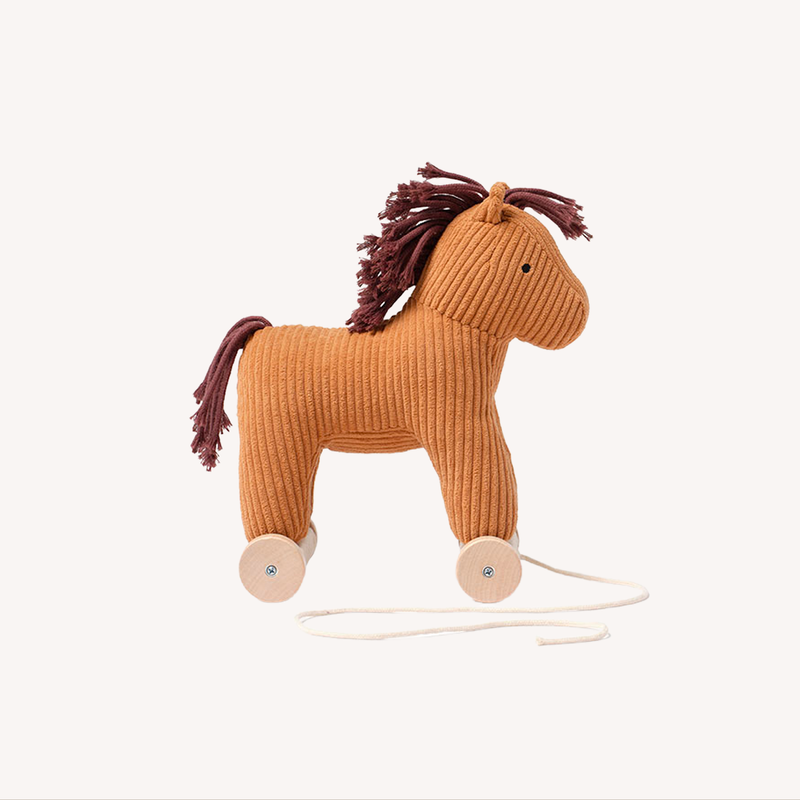 Trekpaard - Aiden - Vera