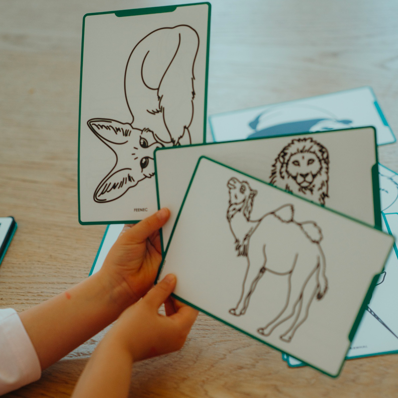 Kidydraw mini tekenbord - Dieren over de hele wereld