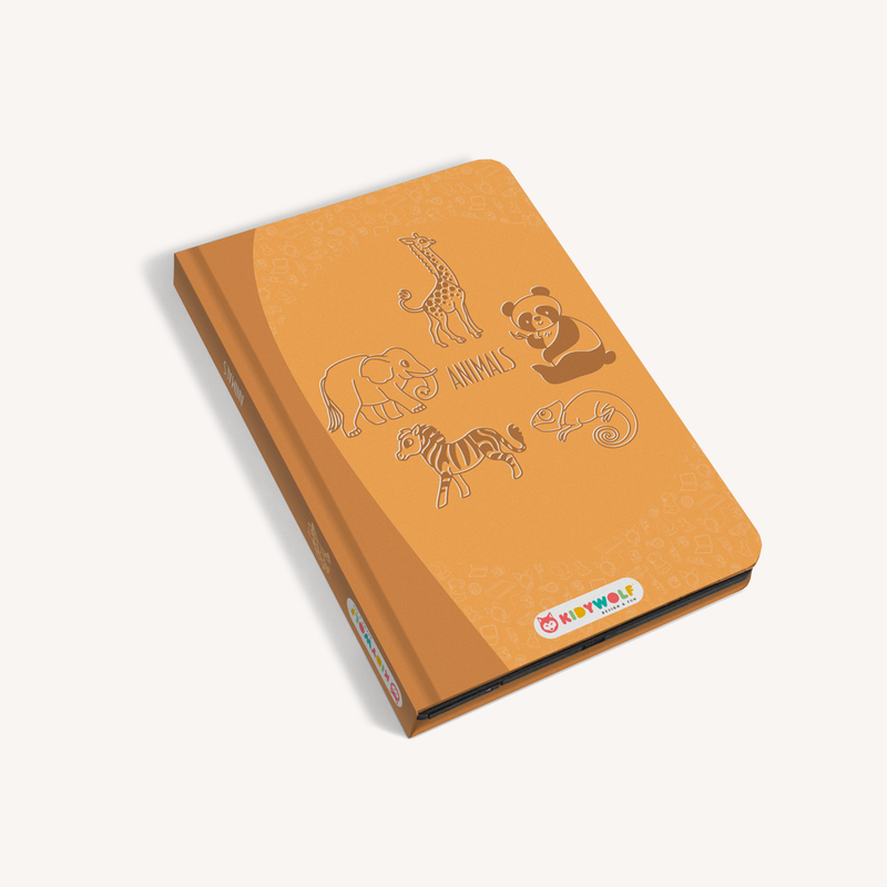 Kidydraw mini drawing board - Travel