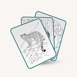 Kidydraw pad tekentablet - animals