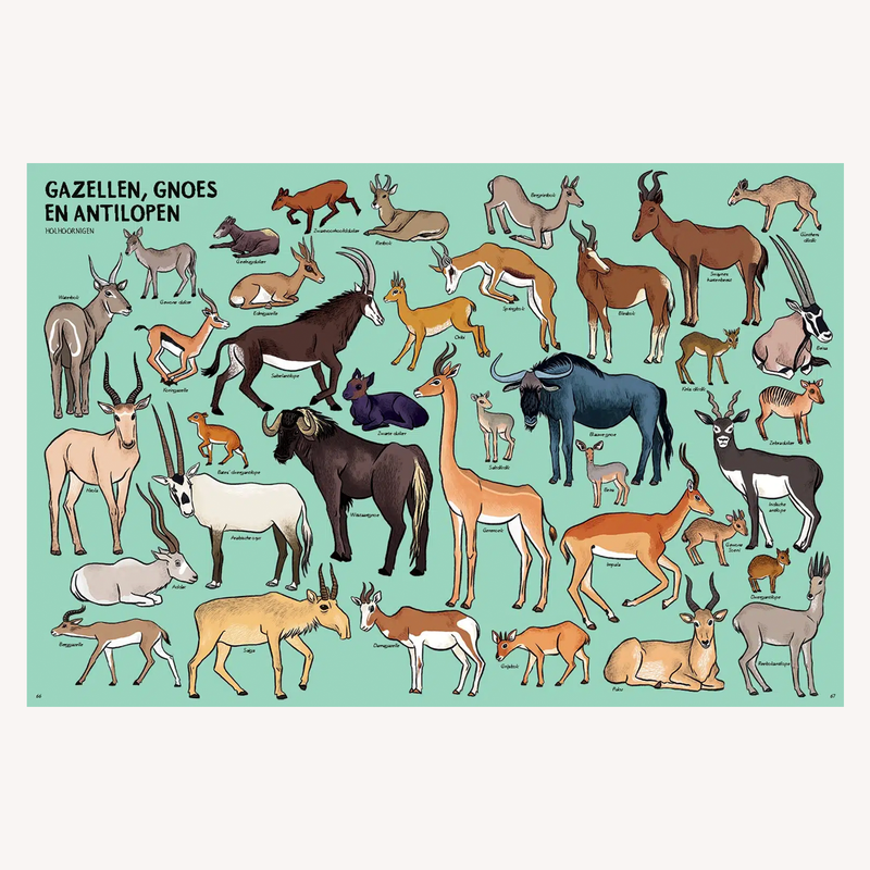 Zóveel dieren!