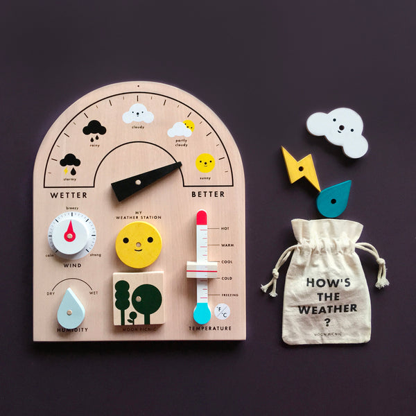 Wooden weather station