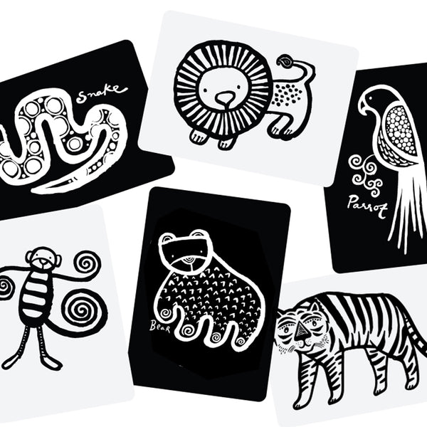 Flash Cards Art Cards Jungle