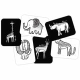 Flash Cards Art Cards Safari